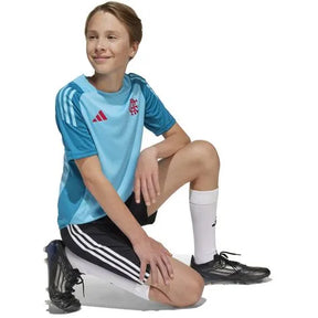 Camisa Flamengo Infantil Treino 2025